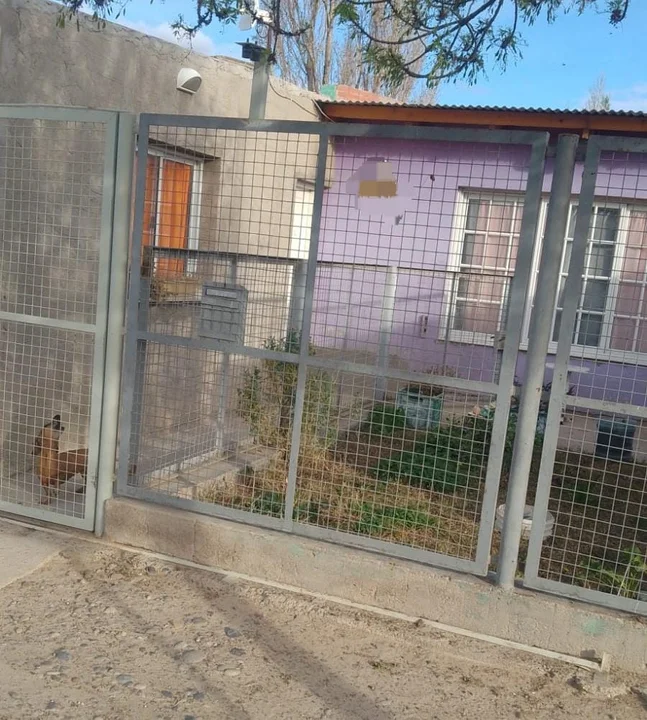 policia de chubut nene convulsión