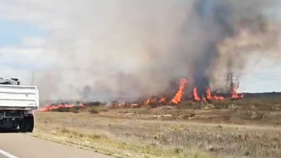 405450 crop 124954 lg