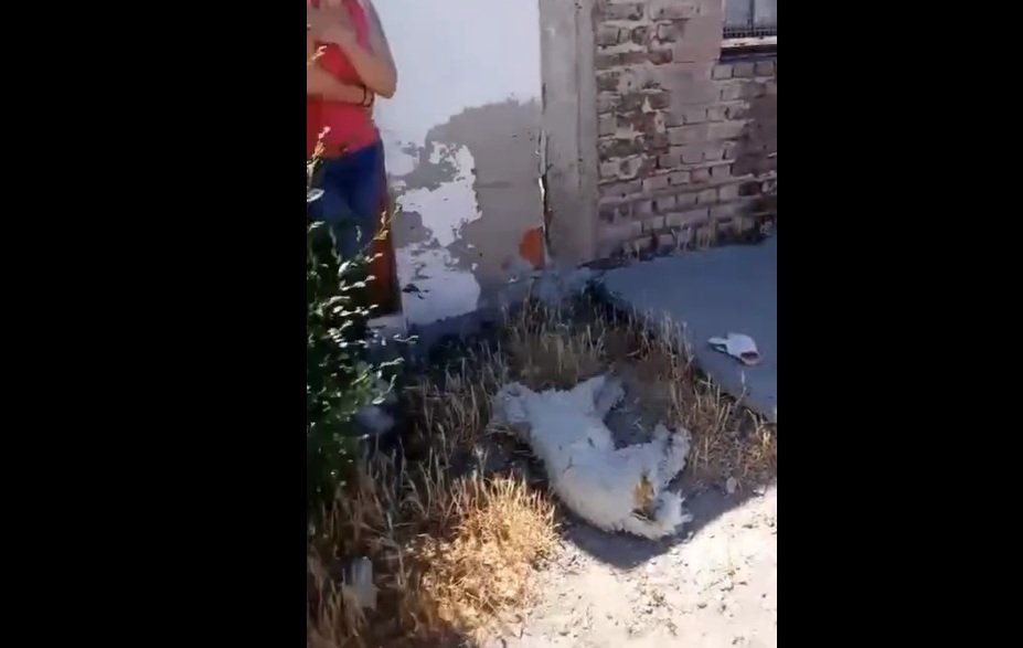 #politica«el paro no es el camino, el país sale adelante trabajando»el concejal de comodoro y p