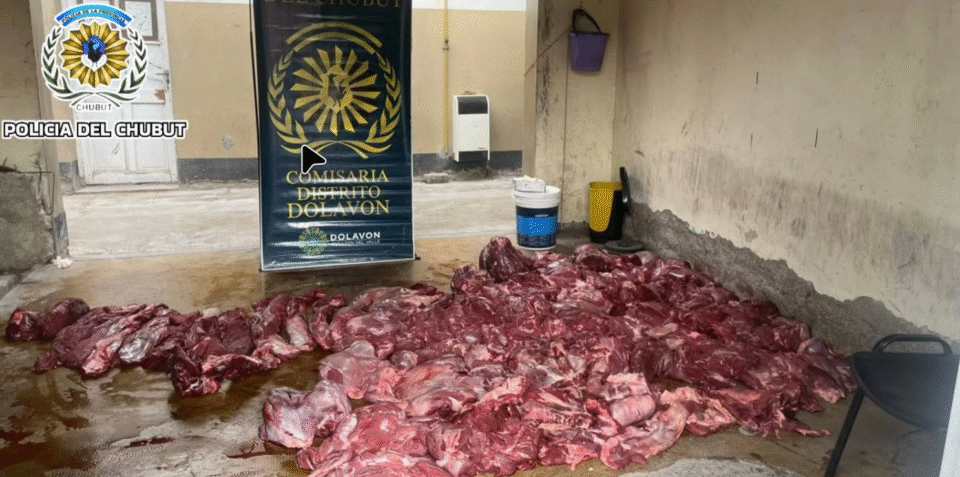 screenshot 20251106 143033 display 0.png