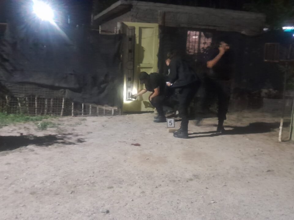 whatsapp image 2025 11 12 at 07.31.41