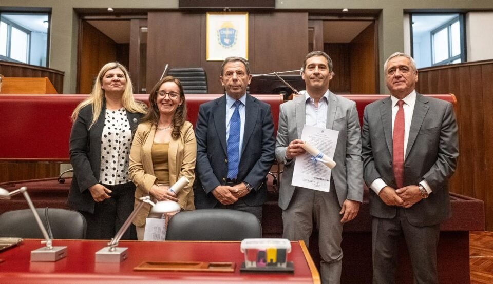 whatsapp image 2025 11 28 at 19.58.28