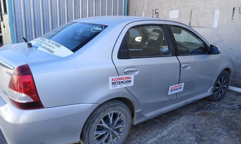 408716 1 135337 lg (1)