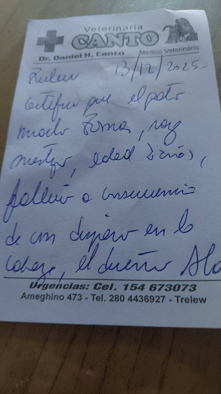 597597260 10230598238371789 7694245704017593156 n