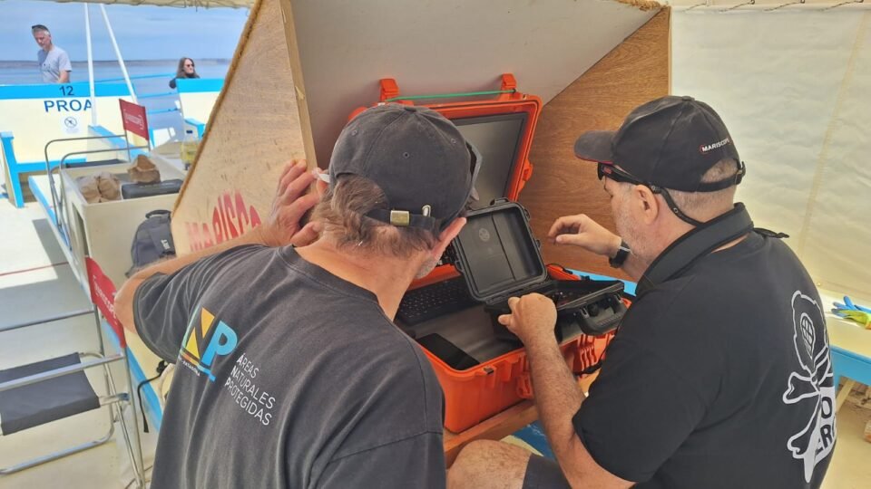 ecosistema marino en península valdés (2) (1)