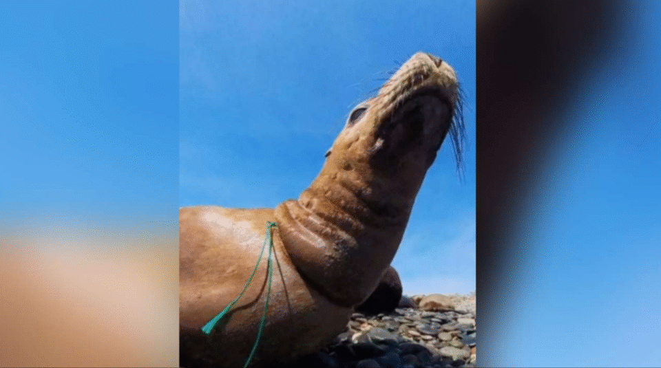 screenshot 20251231 145022 display 0.png