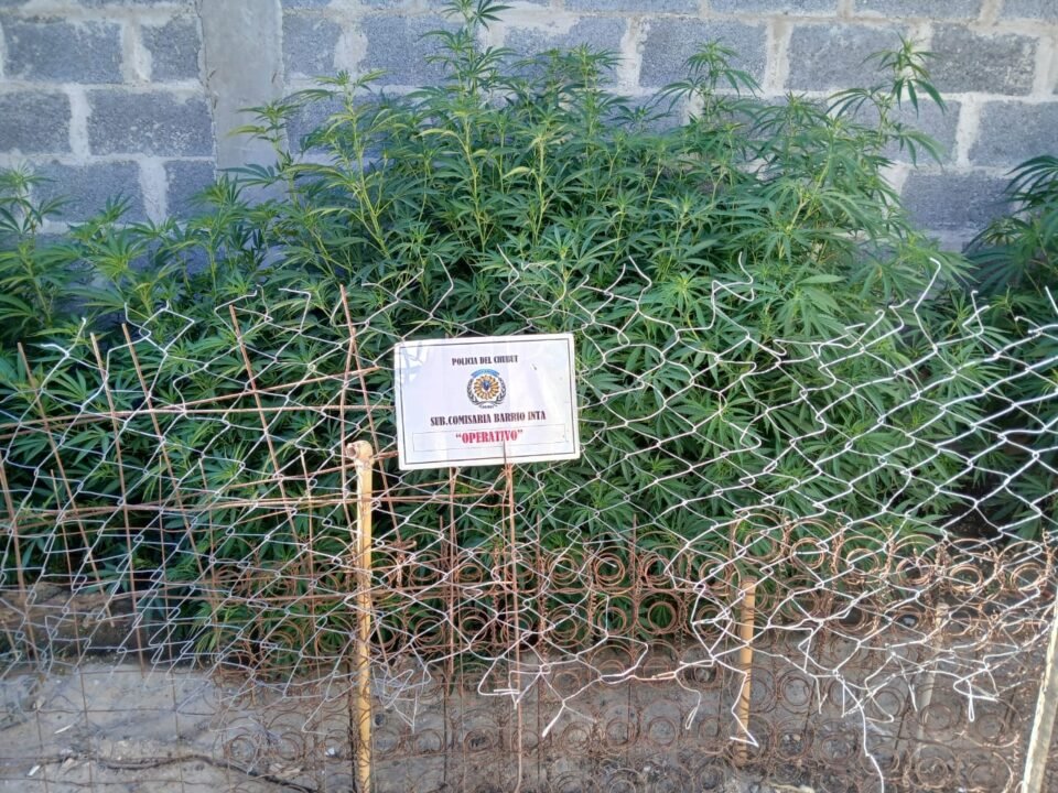 whatsapp image 2025 12 24 at 14.58.26