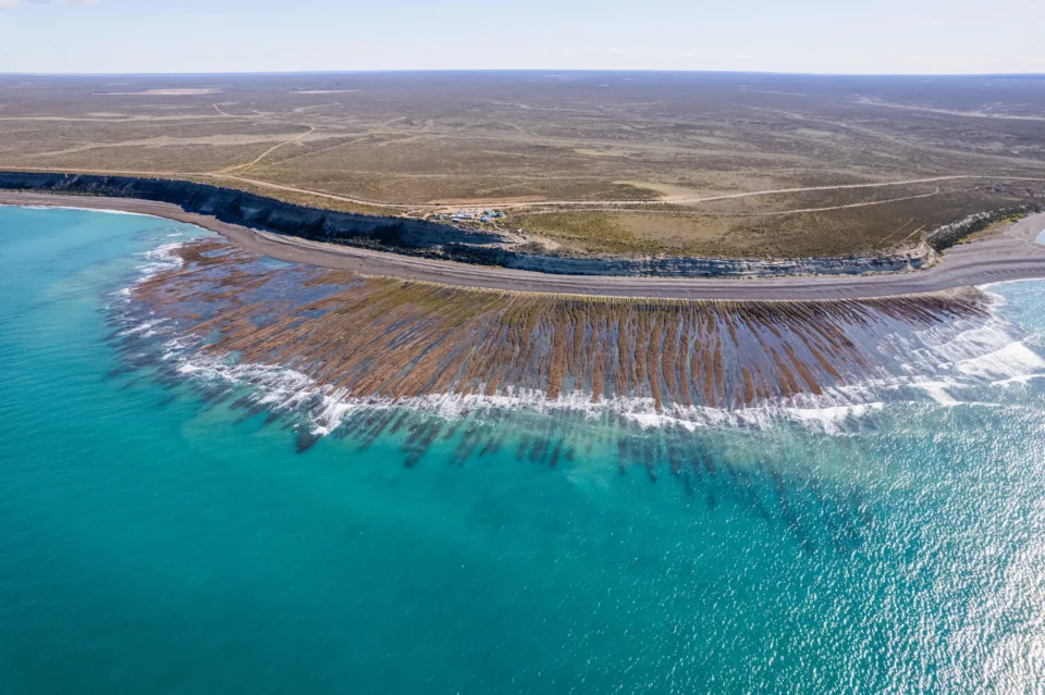caleta valdes9 scaled.jpg