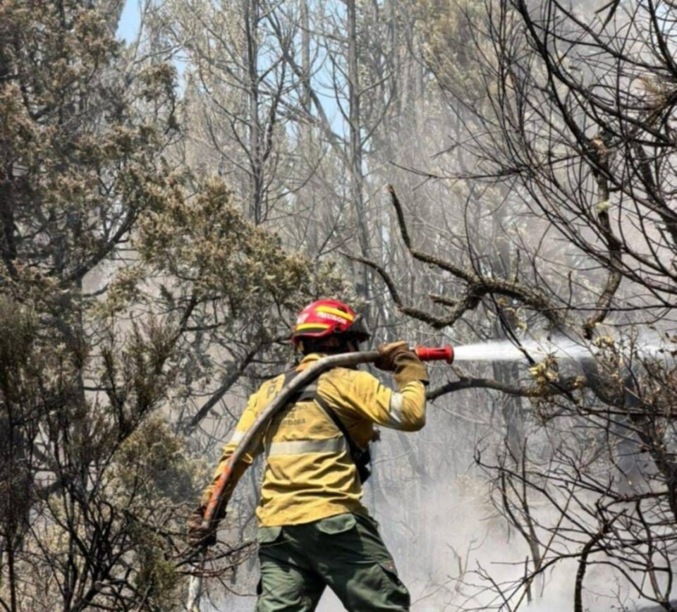 whatsapp image 2026 01 15 at 18.07.20 (1)