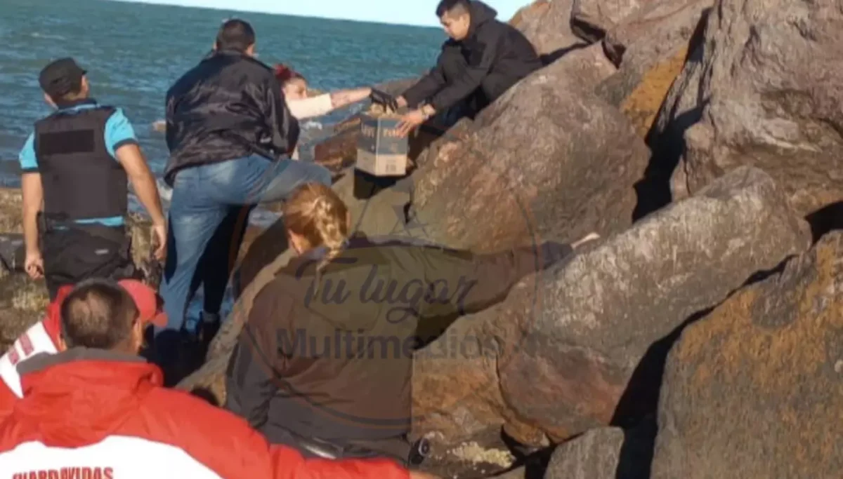 Hallaron un cráneo humano en la escollera grande de Playa Unión