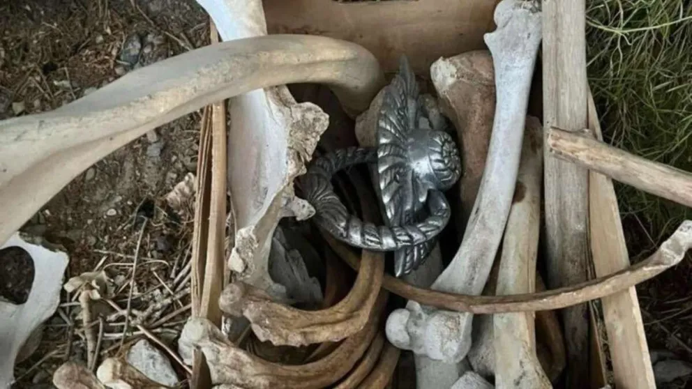 Encuentran caja con huesos y elementos religiosos en Gaiman y crece la inquietud vecinal